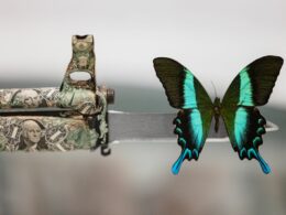 A look back at the 7th edition of Monaco Art Week