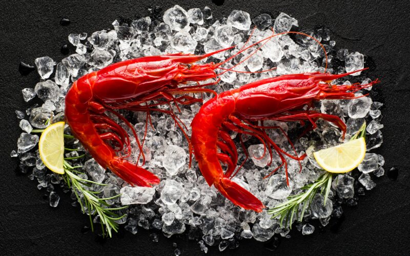 Bianchi: freschezza dal 1881