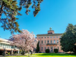 YouNique – Boutique Fair of Arts 2026